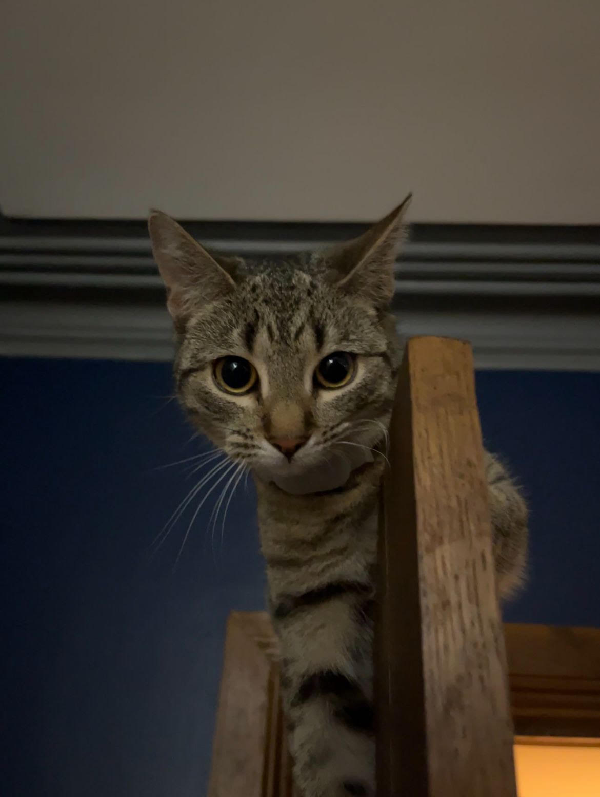 Charlie
