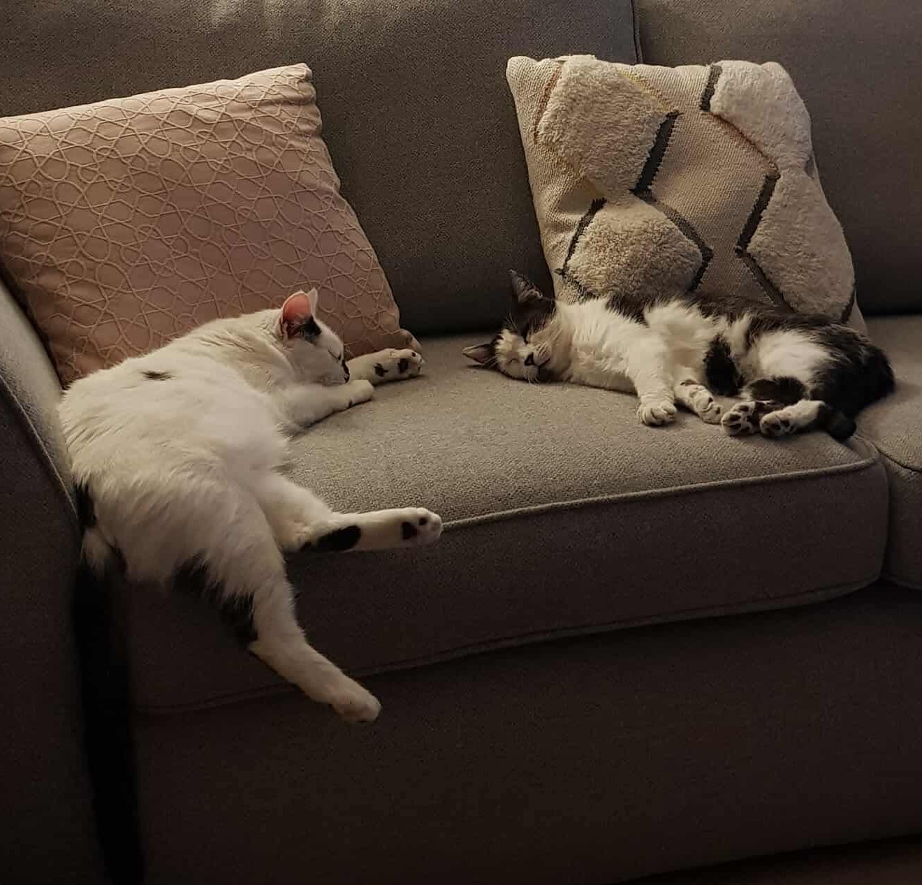 Skylar & Betty 1 month update