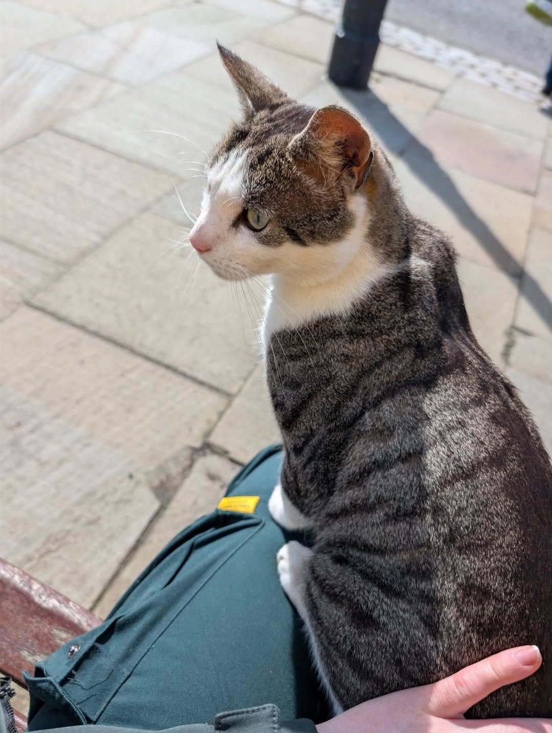 Max on knee