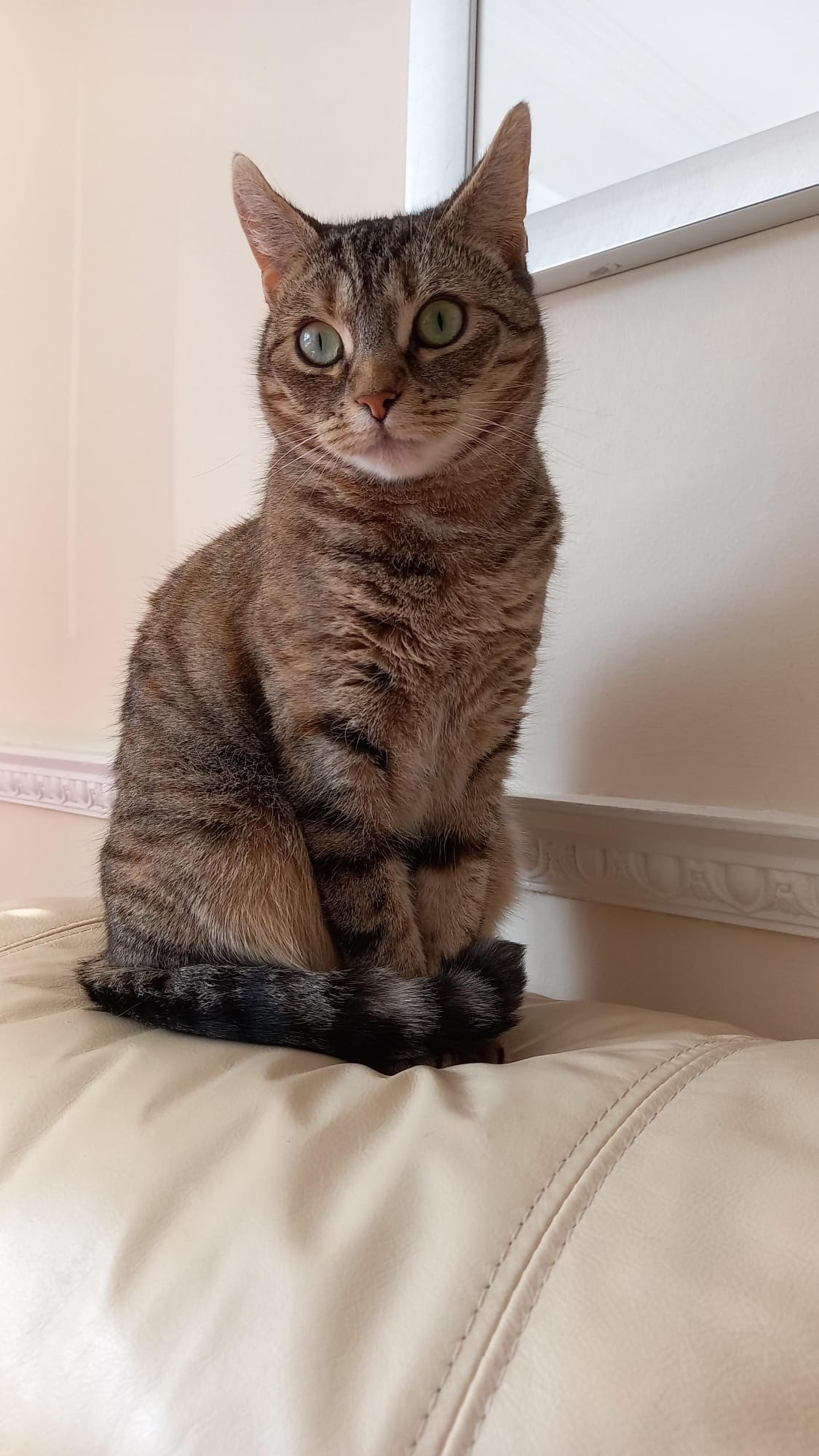 Bella